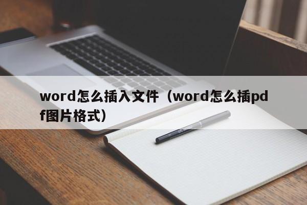 word怎么插入文件（word怎么插pdf图片格式）-第1张图片-欧交易所