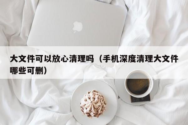 大文件可以放心清理吗（手机深度清理大文件哪些可删）-第1张图片-尚力财经