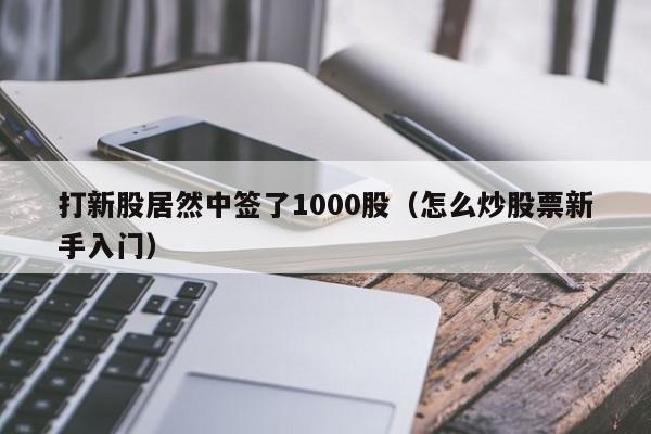 打新股居然中签了1000股（怎么炒股票新手入门）-第1张图片-尚力财经