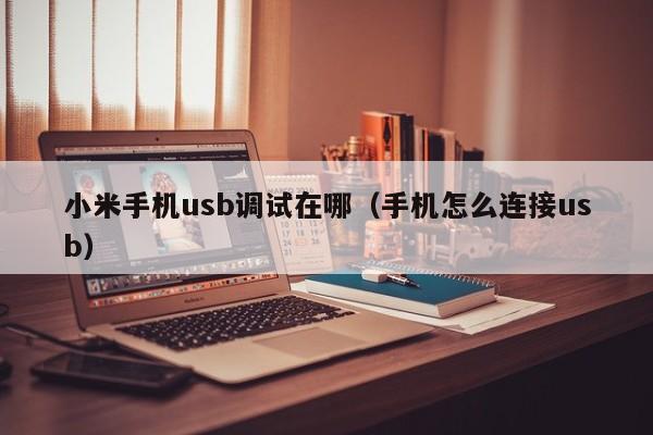 小米手机usb调试在哪（手机怎么连接usb）-第1张图片-尚力财经