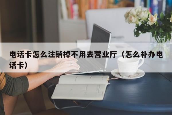 电话卡怎么注销掉不用去营业厅（怎么补办电话卡）-第1张图片-尚力财经