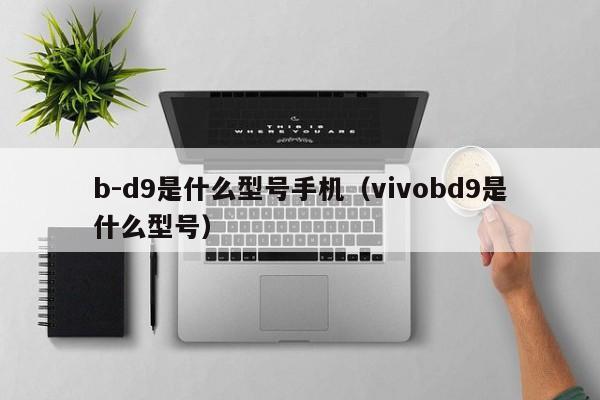 b-d9是什么型号手机（vivobd9是什么型号）-第1张图片-欧交易所