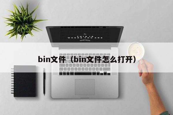 bin文件（bin文件怎么打开）-第1张图片-尚力财经