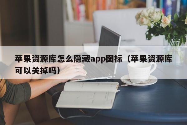 苹果资源库怎么隐藏app图标（苹果资源库可以关掉吗）-第1张图片-尚力财经