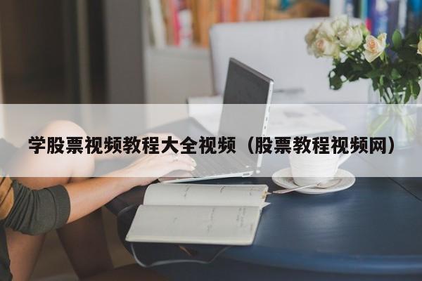 学股票视频教程大全视频（股票教程视频网）-第1张图片-尚力财经