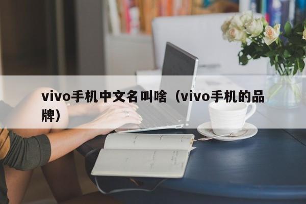 vivo手机中文名叫啥（vivo手机的品牌）-第1张图片-欧交易所