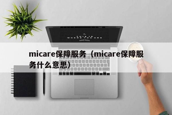 micare保障服务（micare保障服务什么意思）-第1张图片-欧交易所