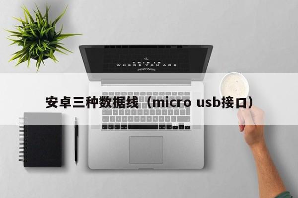 安卓三种数据线（micro usb接口）-第1张图片-欧交易所