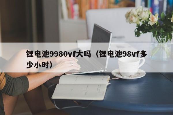 锂电池9980vf大吗（锂电池98vf多少小时）-第1张图片-欧交易所