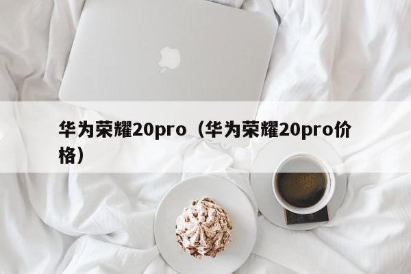 华为荣耀20pro（华为荣耀20pro价格）-第1张图片-尚力财经