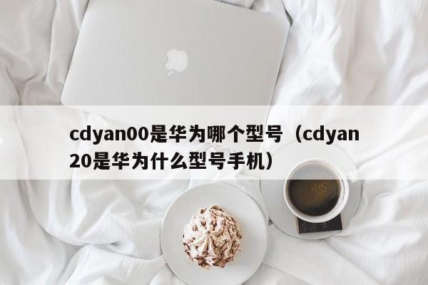 cdyan00是华为哪个型号（cdyan20是华为什么型号手机）-第1张图片-尚力财经