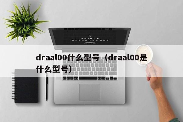 draal00什么型号（draal00是什么型号）-第1张图片-尚力财经