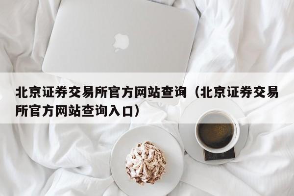 北京证券交易所官方网站查询（北京证券交易所官方网站查询入口）-第1张图片-尚力财经