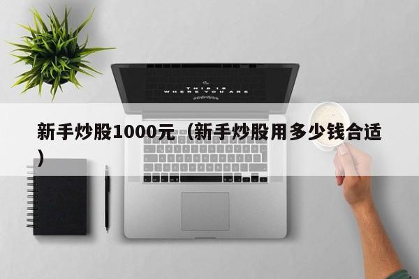 新手炒股1000元（新手炒股用多少钱合适）-第1张图片-欧交易所