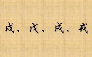 戌字怎么读（戌时怎么读）