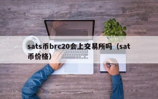 sats币brc20会上交易所吗（sat币价格）