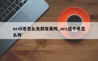 ordi币怎么充到交易所_orc这个币怎么样