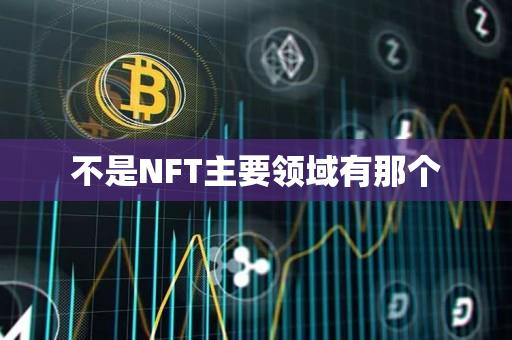 不是NFT主要领域有那个-第1张图片-欧交易所