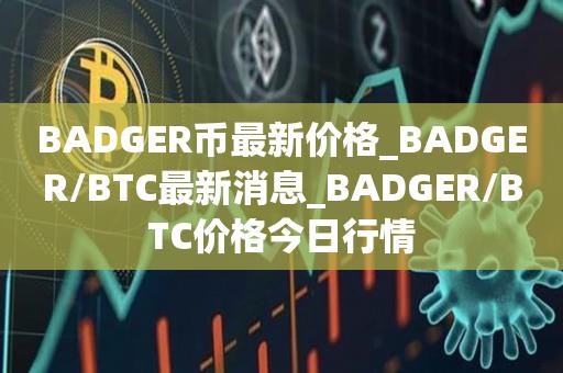 BADGER币最新价格_BADGER／BTC最新消息_BADGER／BTC价格今日行情-第1张图片-欧交易所