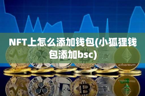 NFT上怎么添加钱包(小狐狸钱包添加bsc)-第1张图片-尚力财经