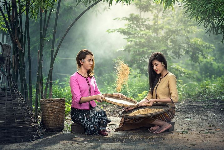 什么是女人（什么是女人味四大特征）-第3张图片-欧交易所