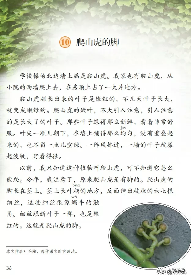 仔细怎么写（仔细怎么写自戏怎么写）-第1张图片-欧交易所