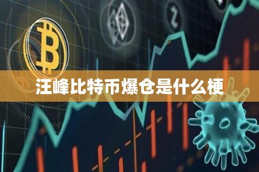 汪峰比特币爆仓是什么梗-第1张图片-欧交易所