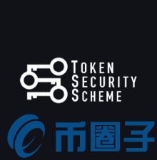 2023TSS币是什么，有什么价值Token Security Scheme全面-第1张图片-尚力财经