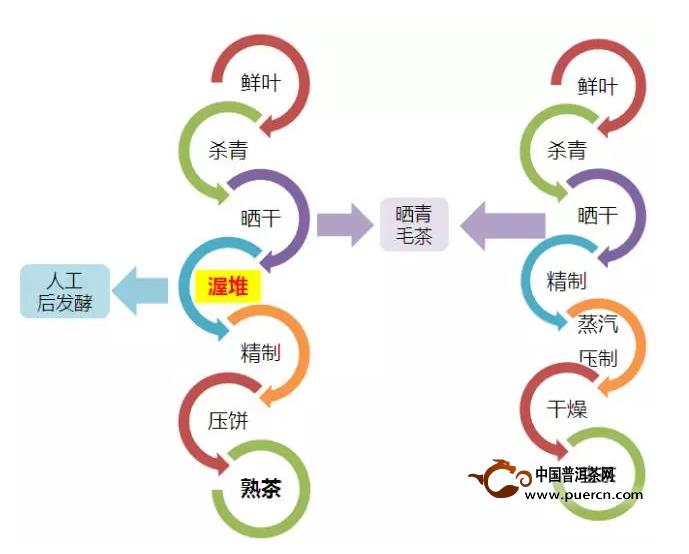 普洱茶属于（普洱茶属于六大茶类哪一种）-第2张图片-尚力财经