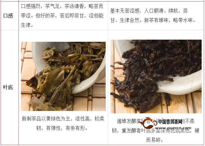 普洱茶属于（普洱茶属于六大茶类哪一种）-第5张图片-尚力财经