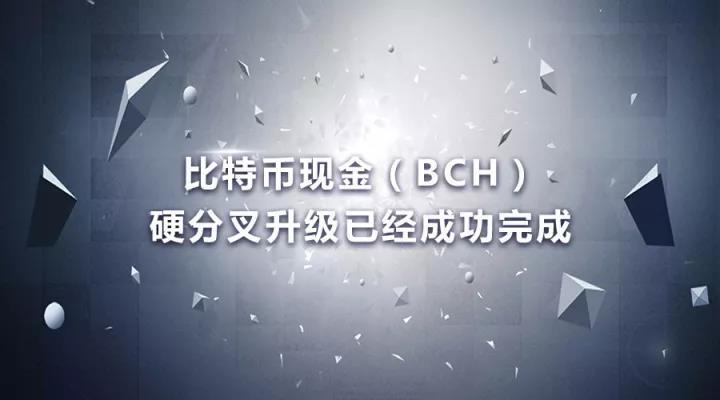 什么是比特币现金，比特币现金有什么特性-第2张图片-欧交易所