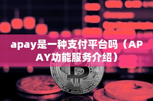 apay是一种支付平台吗（APAY功能服务介绍）-第1张图片-欧交易所