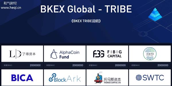 2023BKEX买卖所Tribe科普介绍，2023TRIBE详细说明-第1张图片-尚力财经