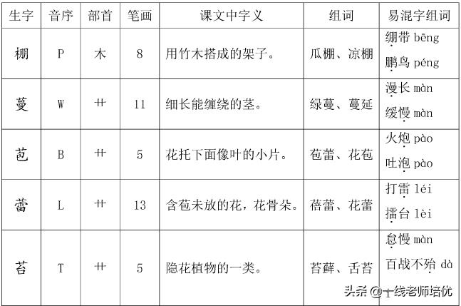 缝怎么组词（缝怎么组词怎么读）-第10张图片-尚力财经