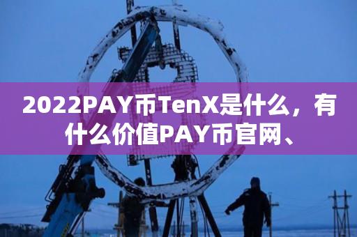 2023PAY币TenX是什么，有什么价值PAY币官网、-第1张图片-欧交易所