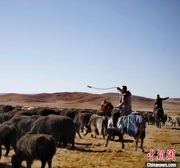 青海属于哪里的（青海属于哪里的省份）-第1张图片-尚力财经