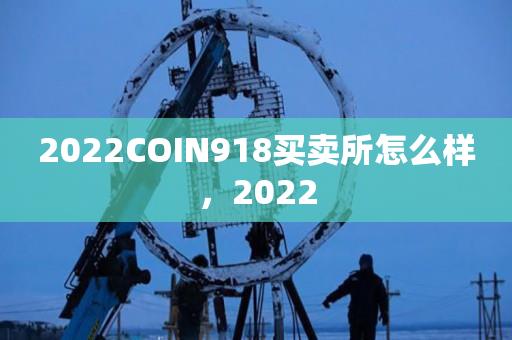 2023COIN918买卖所怎么样，2023-第1张图片-尚力财经