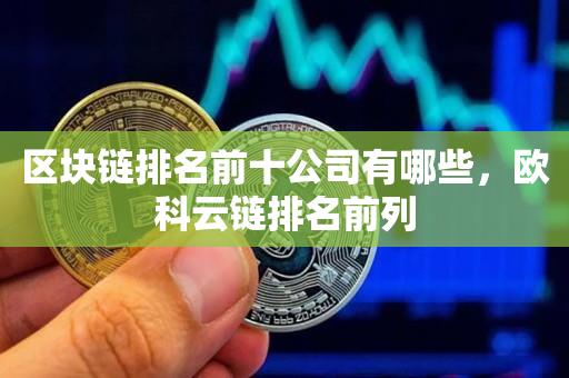 区块链排名前十公司有哪些，欧科云链排名前列-第1张图片-尚力财经