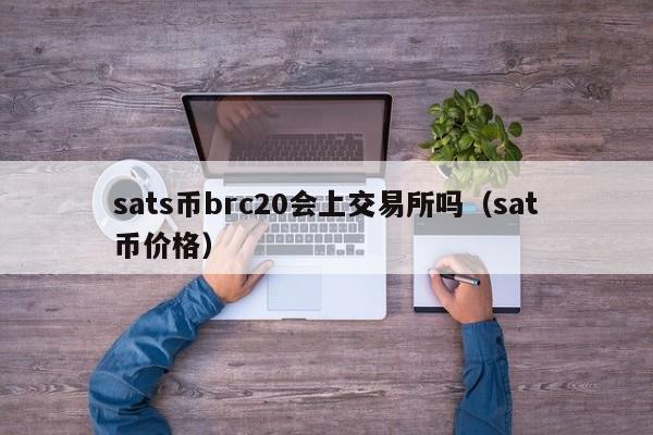 sats币brc20会上交易所吗（sat币价格）-第1张图片-尚力财经