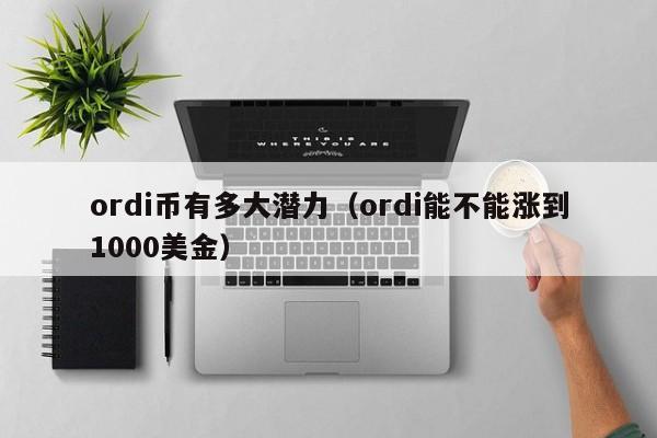 ordi币有多大潜力（ordi能不能涨到1000美金）-第1张图片-尚力财经