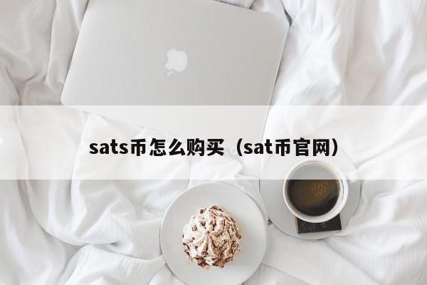 sats币怎么购买（sat币官网）-第1张图片-尚力财经