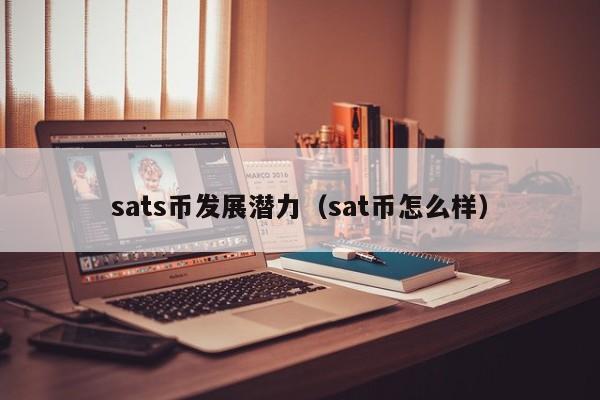 sats币发展潜力（sat币怎么样）-第1张图片-尚力财经