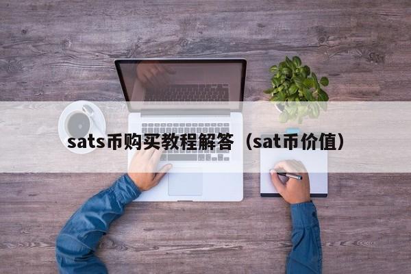 sats币购买教程解答（sat币价值）-第1张图片-尚力财经