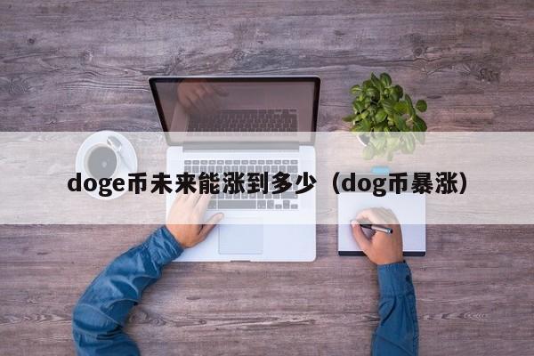 doge币未来能涨到多少（dog币暴涨）-第1张图片-尚力财经