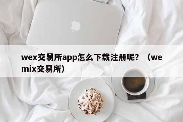 wex交易所app怎么下载注册呢？（wemix交易所）-第1张图片-尚力财经