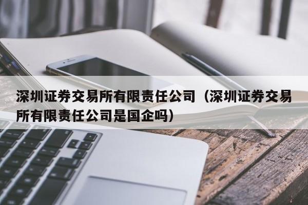 深圳证券交易所有限责任公司（深圳证券交易所有限责任公司是国企吗）-第1张图片-欧交易所