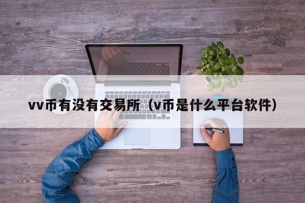 vv币有没有交易所（v币是什么平台软件）-第1张图片-尚力财经