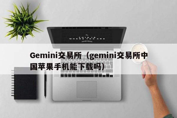 Gemini交易所（gemini交易所中国苹果手机能下载吗）-第1张图片-尚力财经