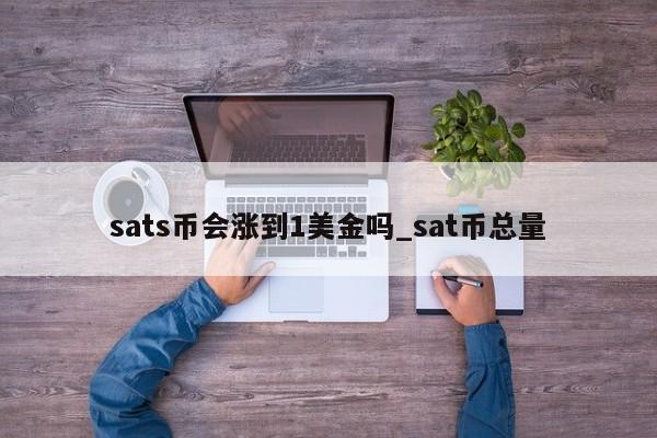 sats币会涨到1美金吗_sat币总量-第1张图片-尚力财经